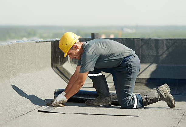 Best Cellulose Insulation in Napoleon, OH