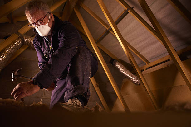 Best Geographic-Specific Insulation Services in Napoleon, OH