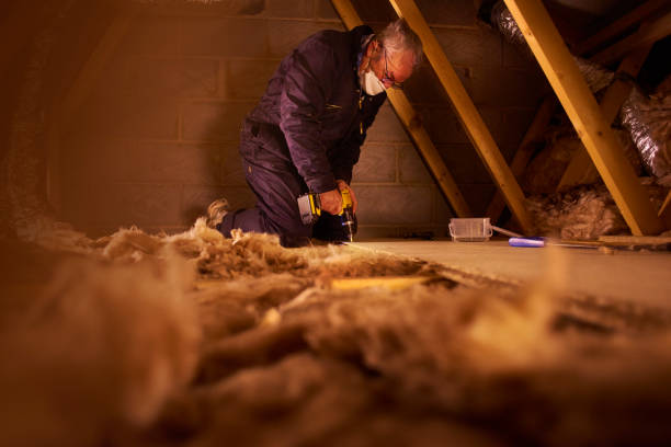 Best Residential Insulation in Napoleon, OH